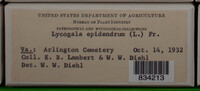 Image Associated With the Occurence